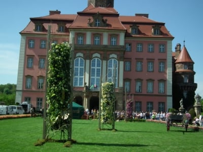 Festiwal Kwiatów w Zamku Książ  - 6