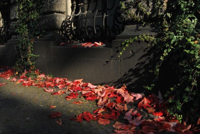 Klimatyczny Wrocław (Zobacz)