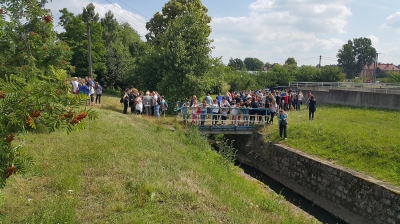 To pierwsze ryby w Szczawniku od co najmniej dwóch stuleci [ZDJĘCIA] - 0