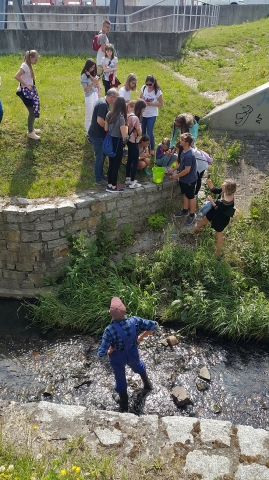 To pierwsze ryby w Szczawniku od co najmniej dwóch stuleci [ZDJĘCIA] - 2