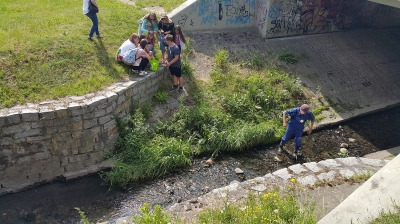 To pierwsze ryby w Szczawniku od co najmniej dwóch stuleci [ZDJĘCIA] - 3