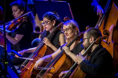 Rozpoczął się Brave Festival [FOTO] - 12
