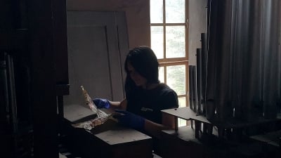 Szafa pełna skarbów. Niezwykłe odkrycie w głuszyckim kościele [ZDJĘCIA] - 6