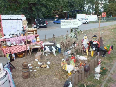 BAWILIŚMY SIĘ NA FESTIWALU LATA W MIĘKINI - 13