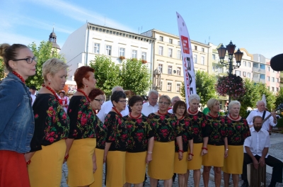 Strzegom: Międzynarodowy Festiwal Folkloru [ZDJĘCIA, WIDEO] - 14