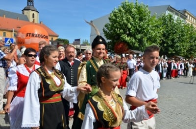 Strzegom: Międzynarodowy Festiwal Folkloru [ZDJĘCIA, WIDEO] - 30