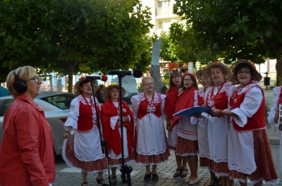 Strzegom: Międzynarodowy Festiwal Folkloru [ZDJĘCIA, WIDEO] - 4