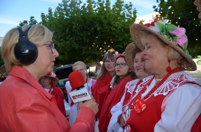 Strzegom: Międzynarodowy Festiwal Folkloru [ZDJĘCIA, WIDEO] - 5