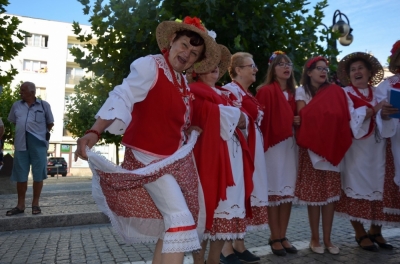 Strzegom: Międzynarodowy Festiwal Folkloru [ZDJĘCIA, WIDEO]