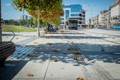 Nikt nie podlewa drzew wokół dworca głównego we Wrocławiu? [ZDJĘCIA] - 1