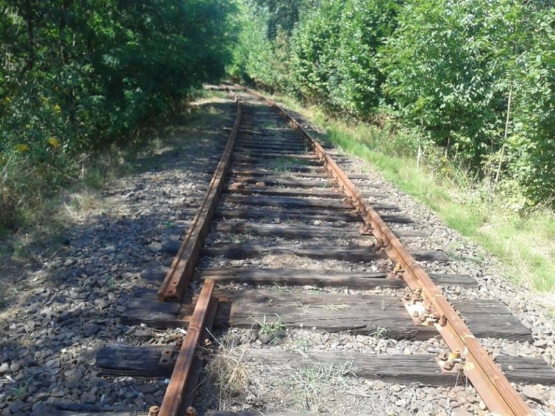 Czy kolejna zabytkowa linia kolejowa zostanie zniszczona? - fot. Facebook Legnica-Lwówek-Jelenia Pociągiem