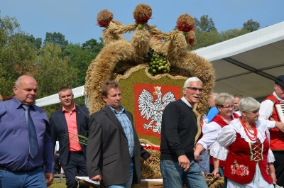 DRJ: Dożynki wojewódzkie w Gryfowie Śląskim [ZDJĘCIA] - 12