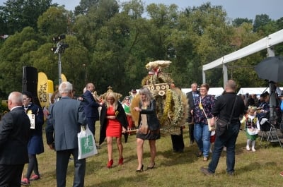DRJ: Dożynki wojewódzkie w Gryfowie Śląskim [ZDJĘCIA] - 16