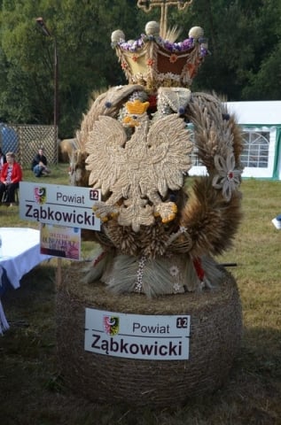 DRJ: Dożynki wojewódzkie w Gryfowie Śląskim [ZDJĘCIA] - 25