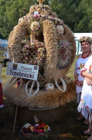 DRJ: Dożynki wojewódzkie w Gryfowie Śląskim [ZDJĘCIA] - 26