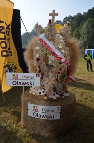 DRJ: Dożynki wojewódzkie w Gryfowie Śląskim [ZDJĘCIA] - 29