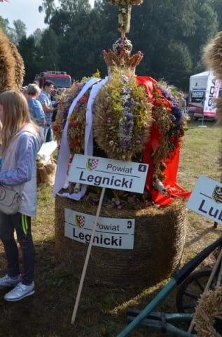 DRJ: Dożynki wojewódzkie w Gryfowie Śląskim [ZDJĘCIA] - 32