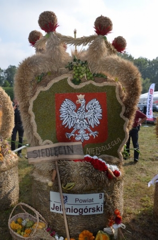 DRJ: Dożynki wojewódzkie w Gryfowie Śląskim [ZDJĘCIA] - 33