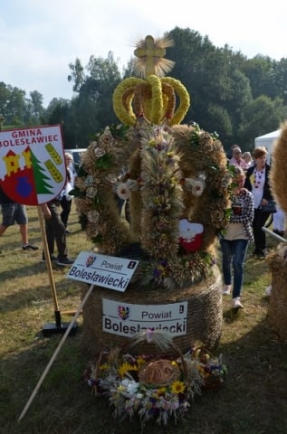 DRJ: Dożynki wojewódzkie w Gryfowie Śląskim [ZDJĘCIA] - 35