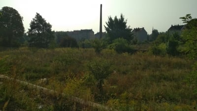 Legnica: Brak miejsc parkingowych przy dworcu i hektary wolnego placu obok - 4