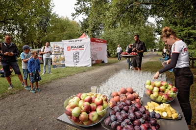 Biegowe pożegnanie wakacji z Radiem Wrocław [ZDJĘCIA] - 118