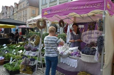 Wyprodukowano pod Śnieżką [ZDJĘCIA] - 0