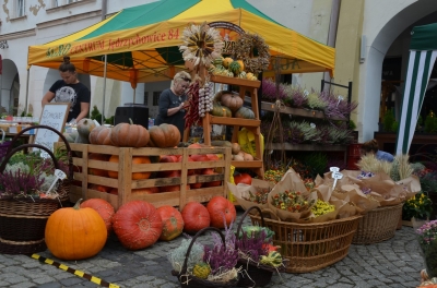 Wyprodukowano pod Śnieżką [ZDJĘCIA] - 7