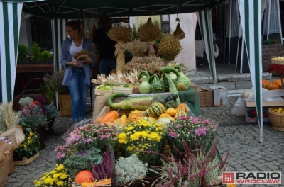 Wyprodukowano pod Śnieżką [ZDJĘCIA]