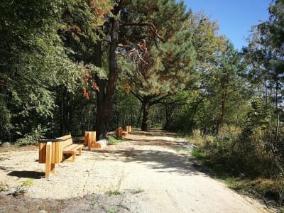 Nowe trasy rowerowe w Borach Dolnośląskich [ZOBACZ] - 4