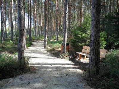 Nowe trasy rowerowe w Borach Dolnośląskich [ZOBACZ] - 5