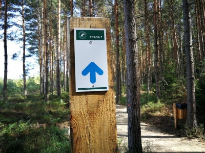 Nowe trasy rowerowe w Borach Dolnośląskich [ZOBACZ] - 6