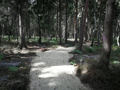 Nowe trasy rowerowe w Borach Dolnośląskich [ZOBACZ]