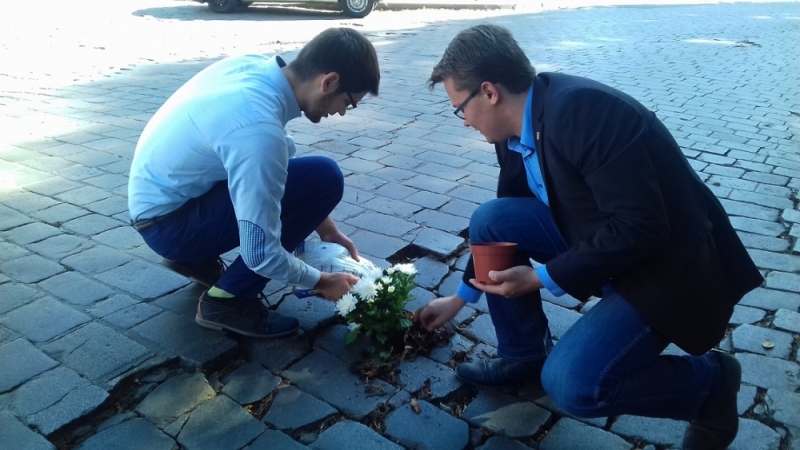 Bezpartyjny Wrocław posadził kwiatka w ulicznej dziurze - Fot: M. Obłoza