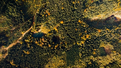 Jedyne takie jeziorka w Europie. Atrakcja turystyczna na skalę światową [WIDEO] - 3