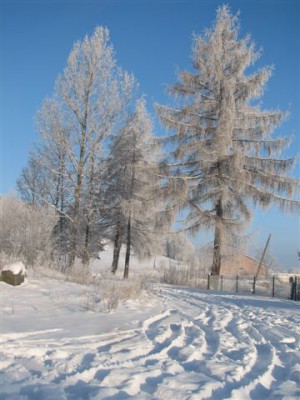 "Zima jest piękna do pewnego stopnia... Celsjusza" (Galeria) - 5