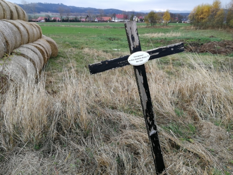 Krzyż w szczerym polu - upamiętnia tragedię z końca II wojny światowej - fot. Radio Wrocław
