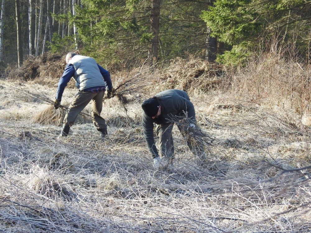 Sprzątanie torfowisk w Górach Stołowych [ZDJĘCIA] - Fot: P. Słowiński
