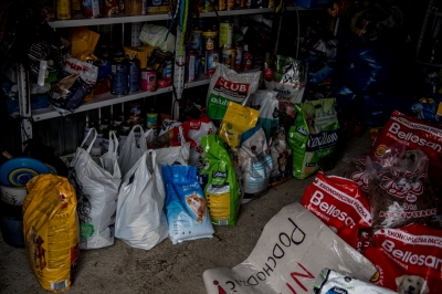 Odwiedziliśmy Przytulisko Towarzystwa Opieki nad Zwierzętami w Jaworze [ZDJĘCIA] - 14