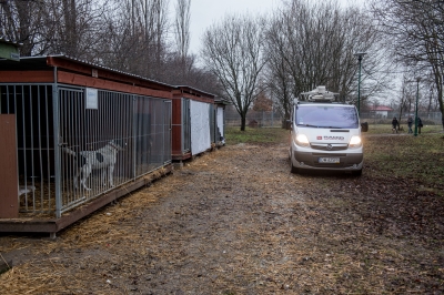 Odwiedziliśmy Przytulisko Towarzystwa Opieki nad Zwierzętami w Jaworze [ZDJĘCIA] - 1