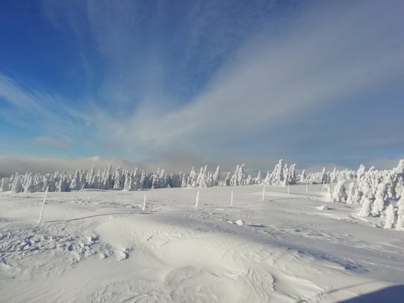 Zdjęcie dnia: Zima w Karkonoszach - fot. Elżbieta Wienke
