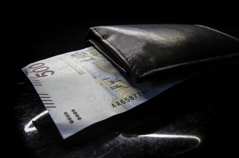 Dwie Racje: Zarobki w NBP będą jawne i nie przekroczą 40 tysięcy złotych? - Zdjęcie ilustracyjne (fot. Pixabay)