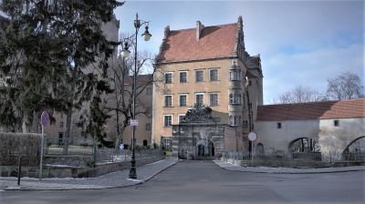 Łazienka w szafie, unikatowe drewniane mozaiki i niezwykła sala Zofii. Tajemnice XIII-wiecznego Zamku w Oleśnicy [ZOBACZ] - 6