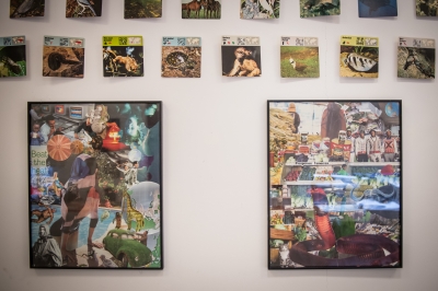 Galeria BWA SIC! zaprasza na "Gatunki Inwazyjne" - 9