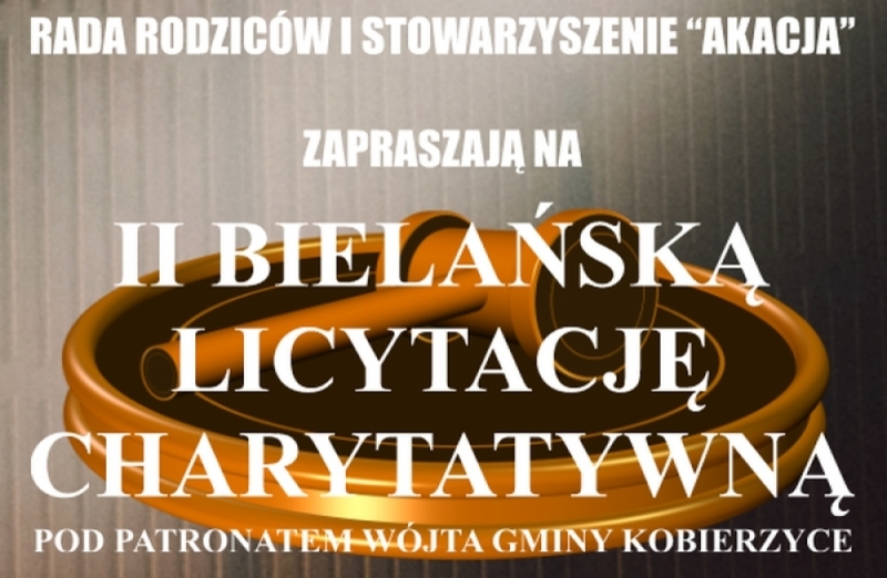 II Bielańska licytacja charytatywna - (fot. mat. prasowe)
