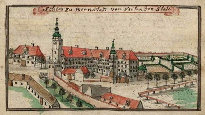 Ewenement w skali Polski: zamek-pałac z barokowymi, trzymetrowymi kominkami, stoi w Bierutowie koło Oleśnicy - 23
