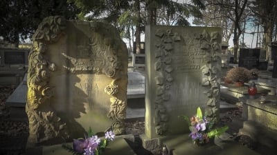 Wrocław: Spacer z przewodnikiem po cmentarzu żydowskim - 6