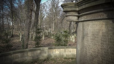 Wrocław: Spacer z przewodnikiem po cmentarzu żydowskim - 24