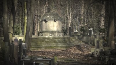 Wrocław: Spacer z przewodnikiem po cmentarzu żydowskim - 4