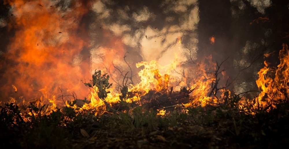 Wałbrzych: Wypalają trawy na potęgę. Sprawcy często pozostają nieuchwytni  - FOT: CC0 Public Domain (zdjęcie ilustracyjne)