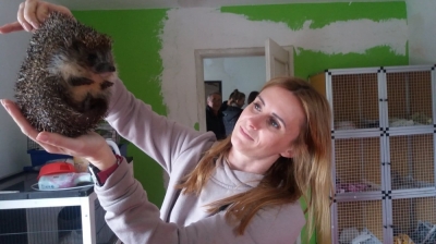 Wrocławska Ekostraż potrzebuje wolontariuszy i domów tymczasowych dla zwierząt